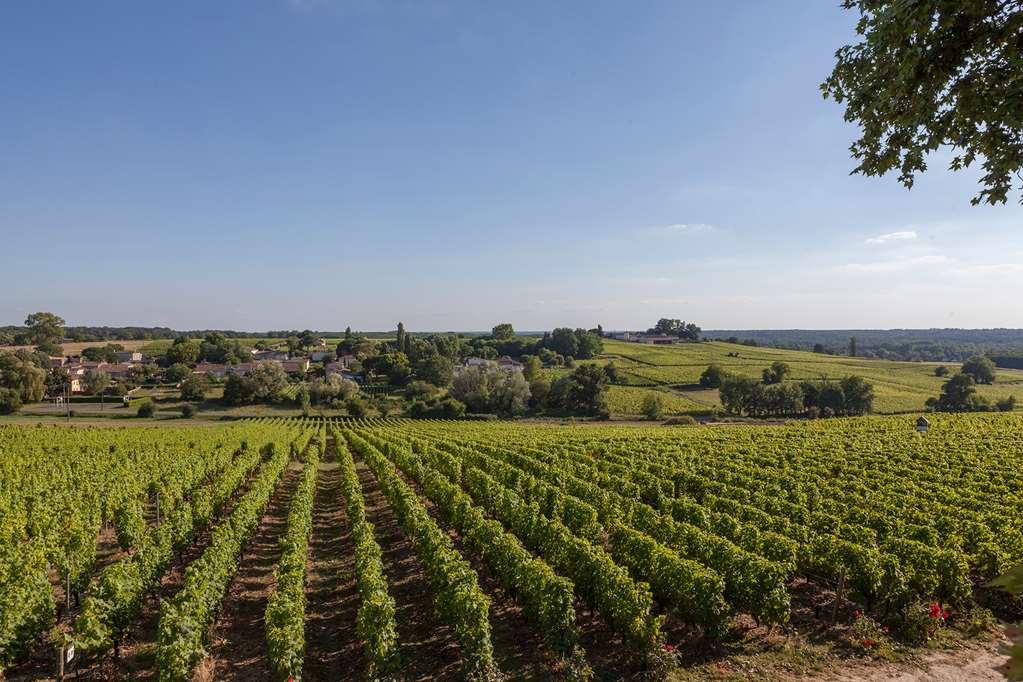 Chateau D'Arche, Grand Cru Classe De Sauternes Fasiliteter bilde