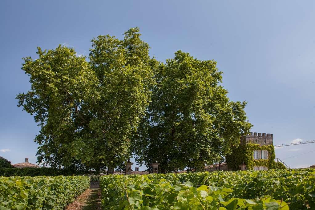 Chateau D'Arche, Grand Cru Classe De Sauternes Fasiliteter bilde