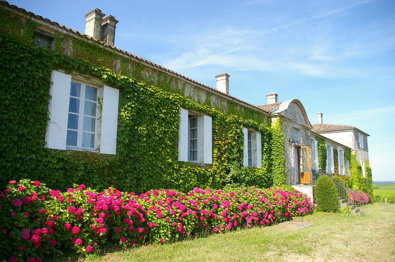 Chateau D'Arche, Grand Cru Classe De Sauternes Eksteriør bilde