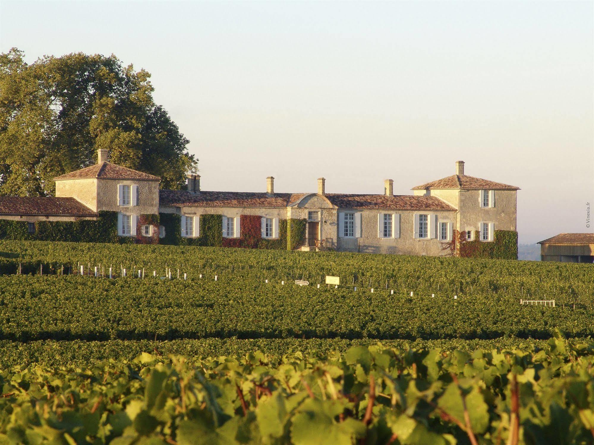Chateau D'Arche, Grand Cru Classe De Sauternes Eksteriør bilde